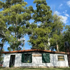 La casa blanca de tejas entre los árboles